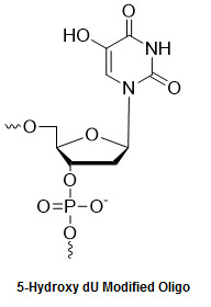 Bio-Synthesis Inc. Oligo Structure